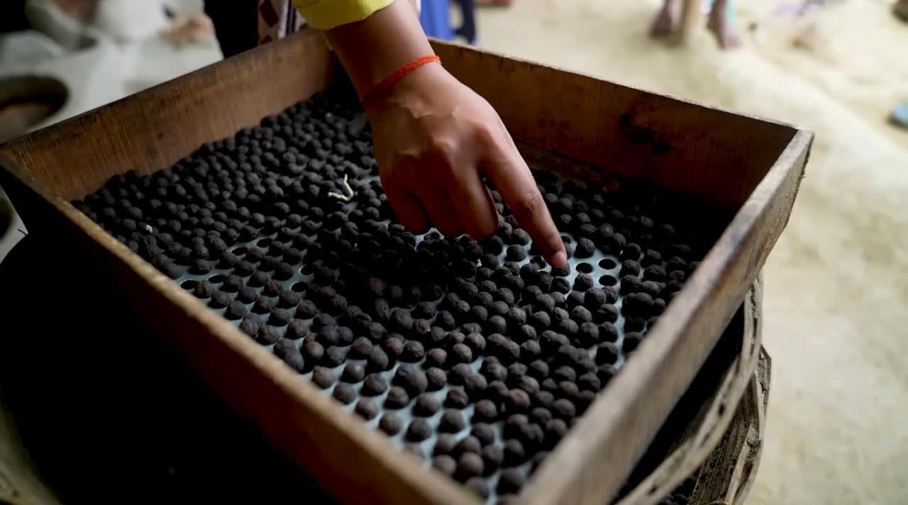 Raw Makhana seeds being size-graded through sieves