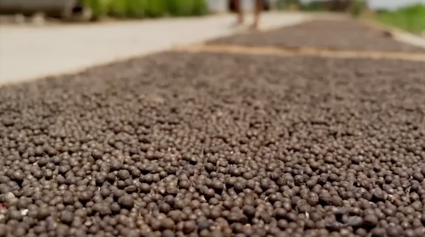 Roasted Makhana seeds resting and tempering
